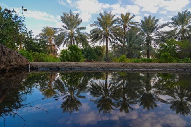 Walk Together 2 Walk Together 2